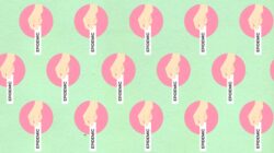 Update Berita Maluku Utara Terbaru 2026: Fakta, Analisis, dan Dampaknya untuk Warga Lokal