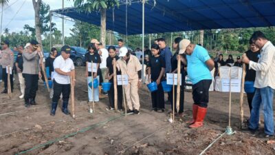 DPRD HALMAHERA UTARA DUKUNG PENANAMAN JAGUNG DI UNIERA, WUJUD NYATA PROGRAM KETAHANAN PANGAN NASIONAL