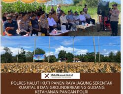Polres Halut Ikuti Panen Raya Jagung Serentak Kuartal II dan Groundbreaking Gudang Ketahanan Pangan Polri