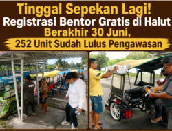 Tinggal Sepekan Lagi! Registrasi Bentor Gratis di Halut Berakhir 30 Juni, 252 Unit Sudah Lulus Pengawasan