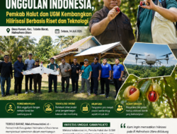 Menuju Pusat Pala Unggulan Indonesia, Pemkab Halut dan UGM Kembangkan Hilirisasi Berbasis Riset dan Teknologi