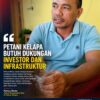 Petani Kelapa Nilai Penjualan Buah Lebih Menguntungkan, Dorong Pemerintah Perbanyak Investasi Industri