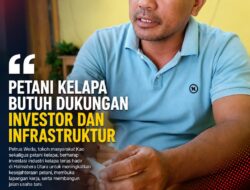 Petani Kelapa Nilai Penjualan Buah Lebih Menguntungkan, Dorong Pemerintah Perbanyak Investasi Industri