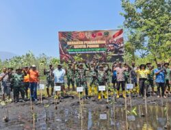 HIJAUKAN PESISIR HALMAHERA UTARA, KODIM 1508/TOBELO TANAM BAKAU SAMBUT HUT KE-81 TNI